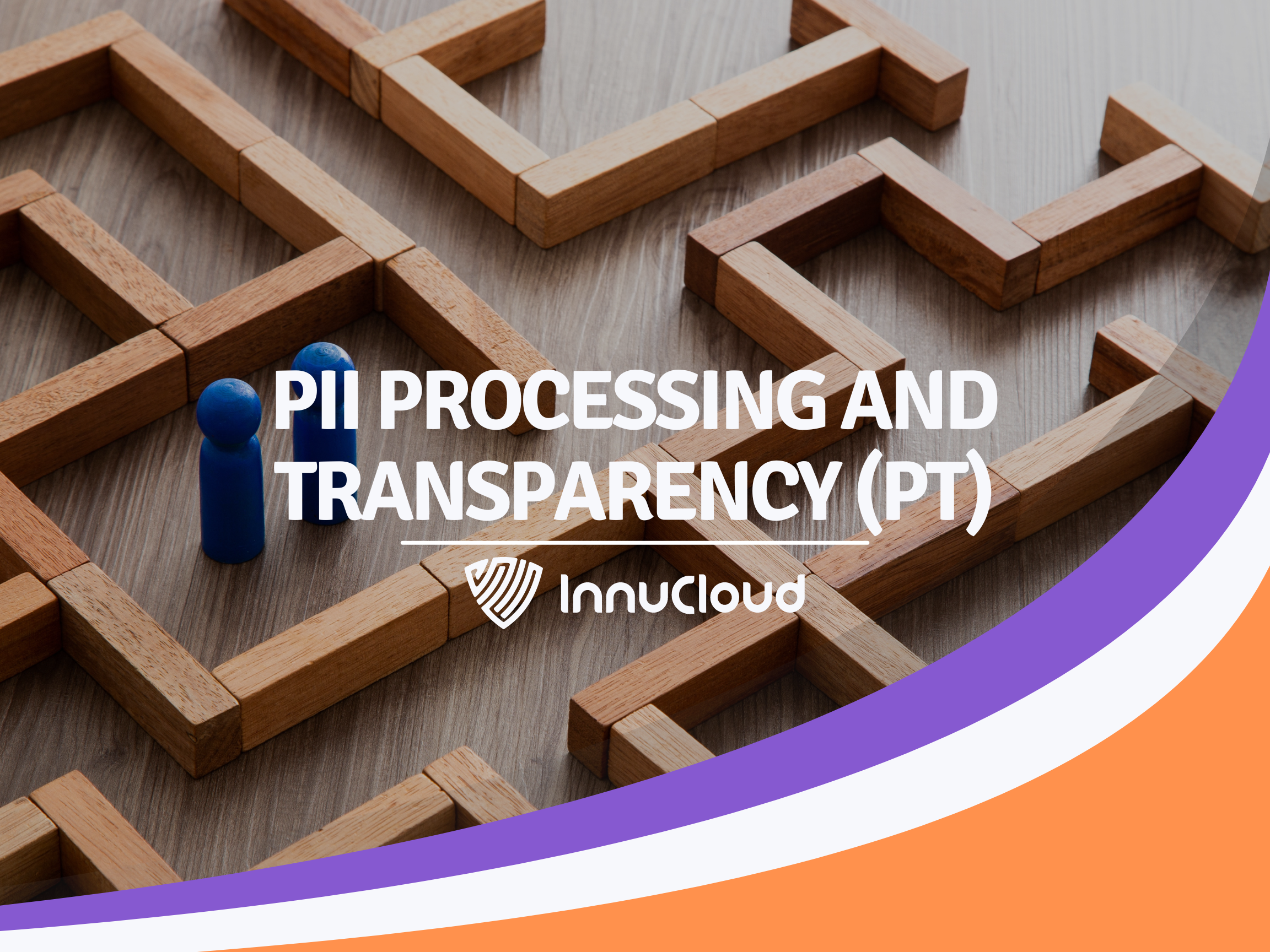 PII Processing and Transparency (PT)