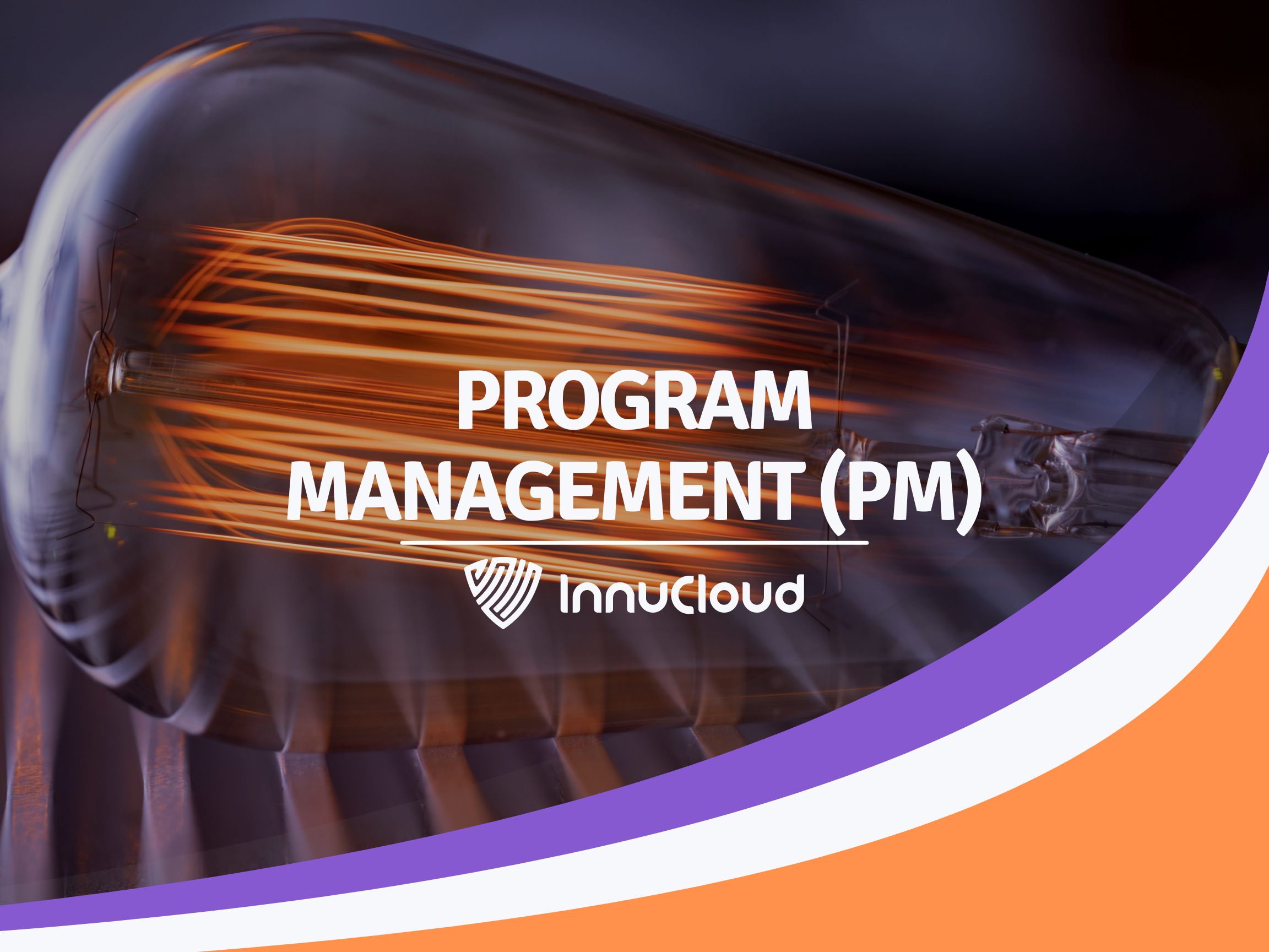 Program Management (PM)