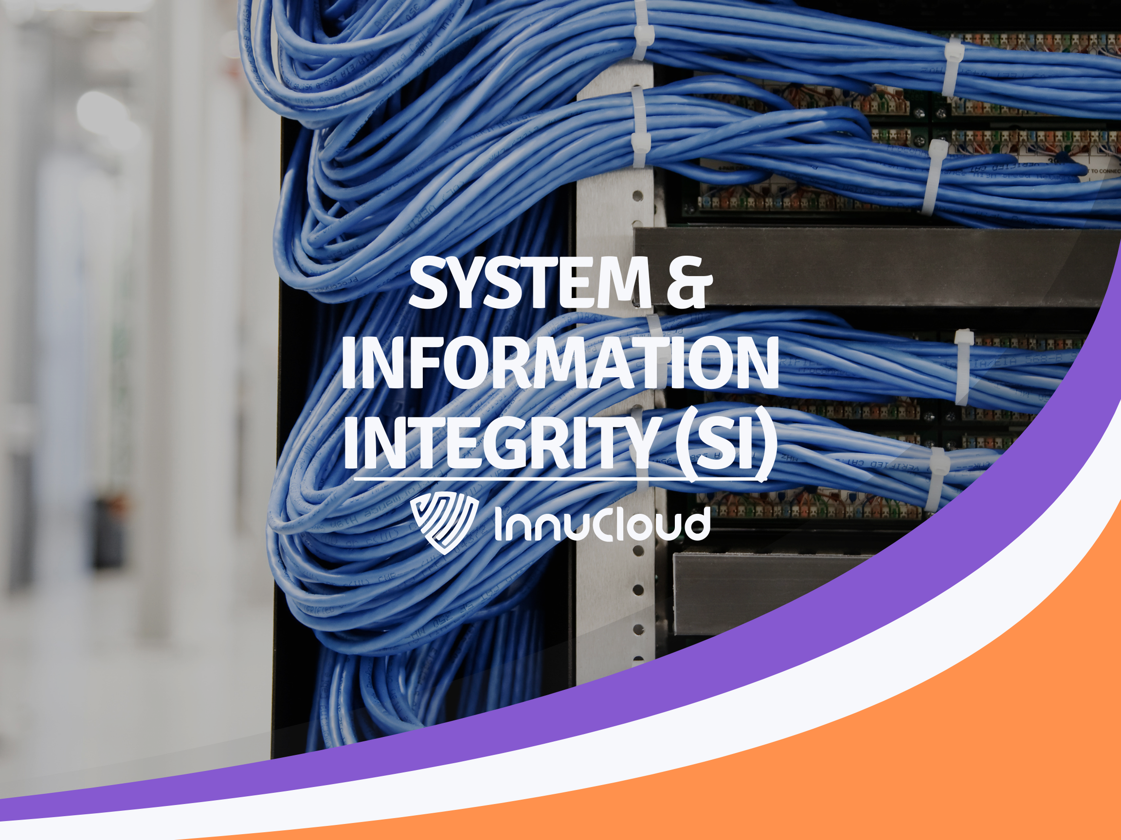 System & Information Integrity (SI)